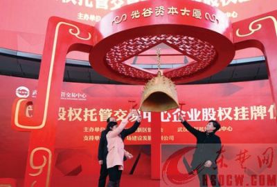 公司在武汉股权托管交易中心成功挂牌